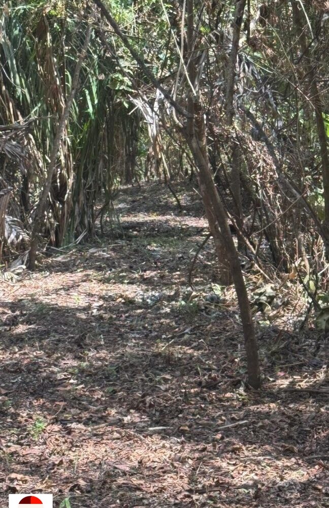 Development Land for sale in Quebrada Ganado Costa Rica