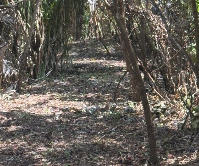 Development Land for sale in Quebrada Ganado Costa Rica