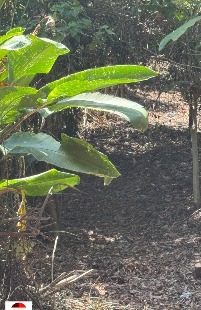 Development Land for sale in Quebrada Ganado Costa Rica