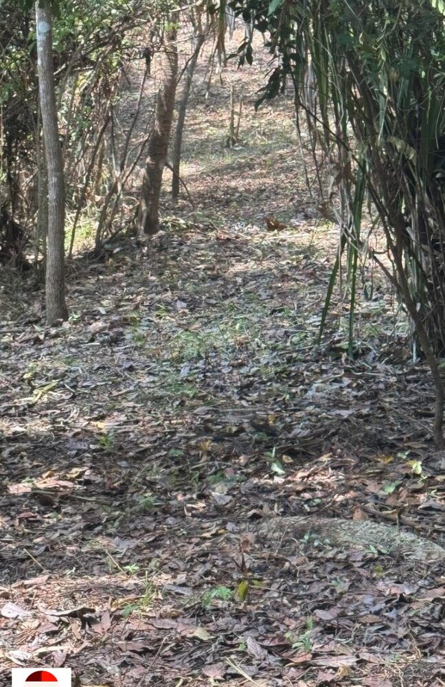 Development Land for sale in Quebrada Ganado Costa Rica