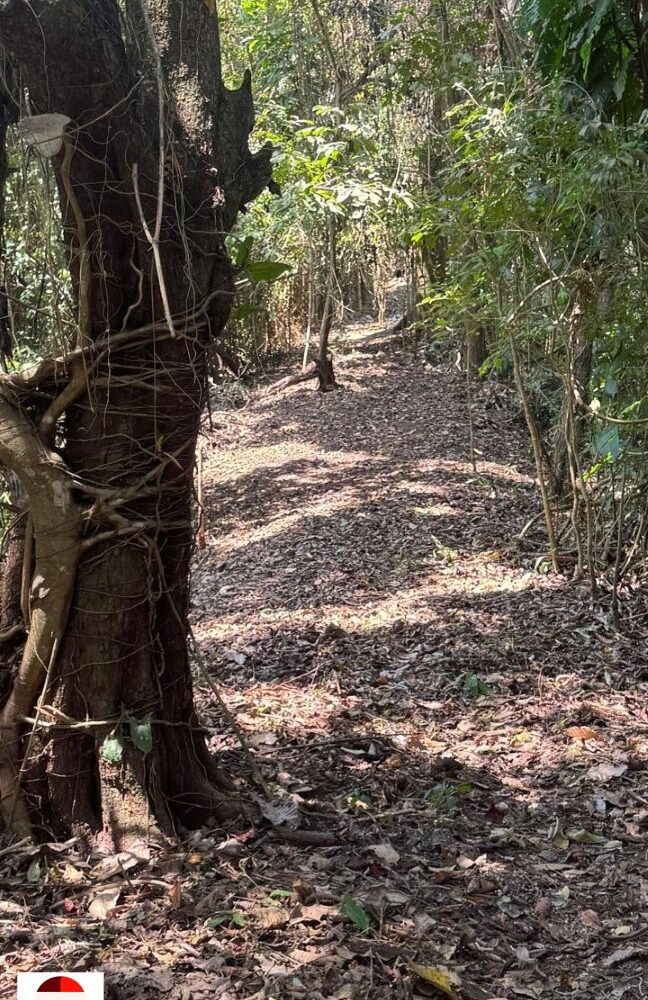 Development Land for sale in Quebrada Ganado Costa Rica