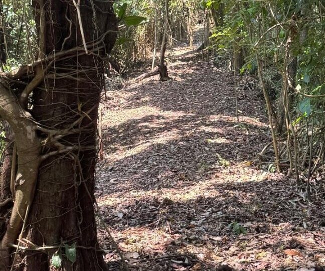 Development Land for sale in Quebrada Ganado Costa Rica