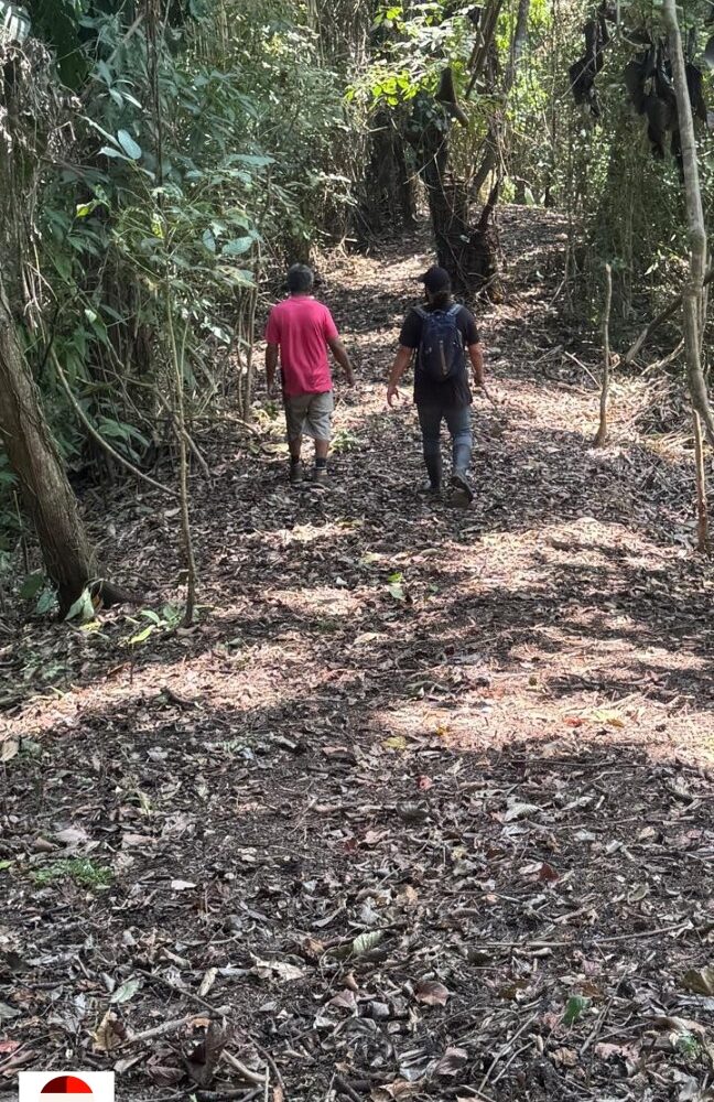 Development Land for sale in Quebrada Ganado Costa Rica