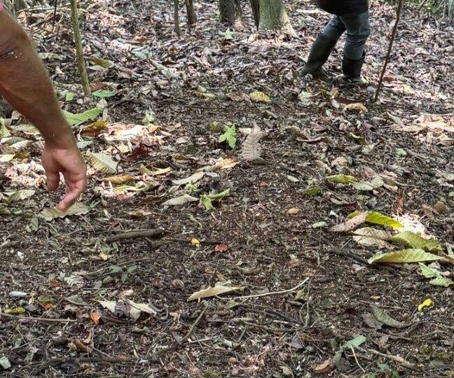 Development Land for sale in Quebrada Ganado Costa Rica