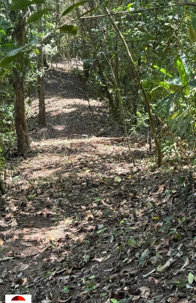 Development Land for sale in Quebrada Ganado Costa Rica