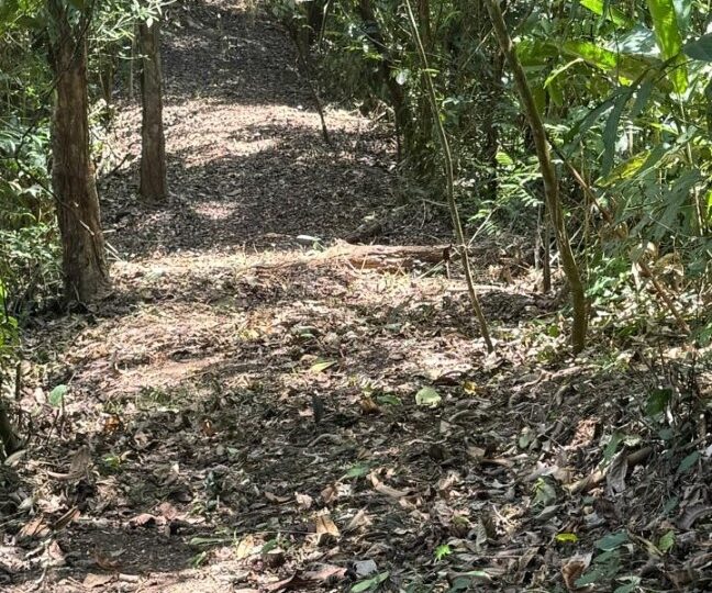 Development Land for sale in Quebrada Ganado Costa Rica