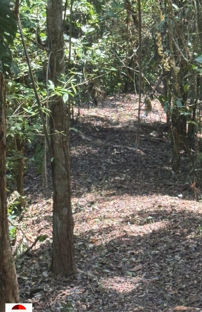 Development Land for sale in Quebrada Ganado Costa Rica