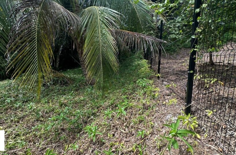 Building Lots for sale in Hermosa Beach Costa Rica