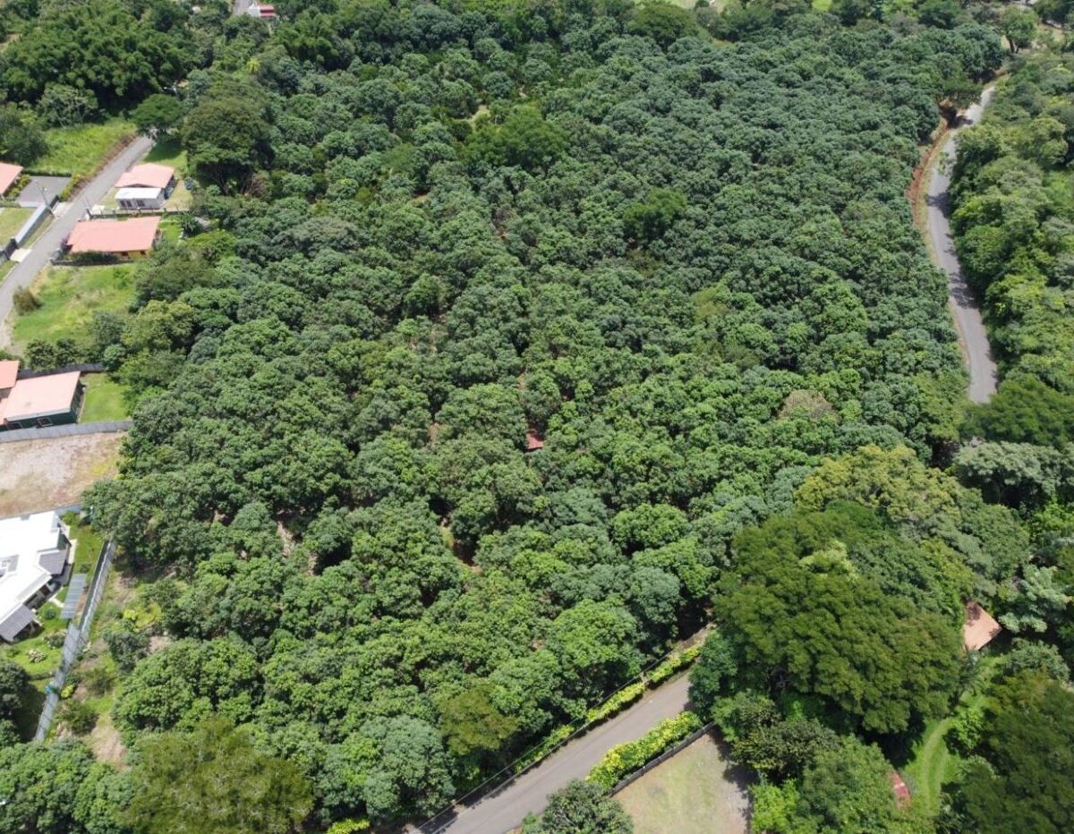 Building Lots for sale in Atenas Costa Rica