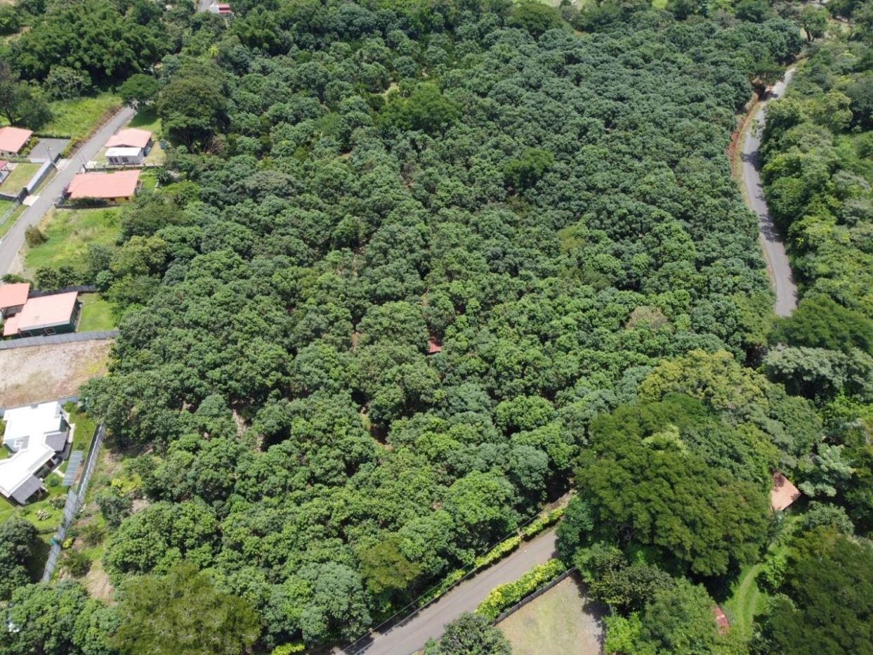 Building Lots for sale in Atenas Costa Rica