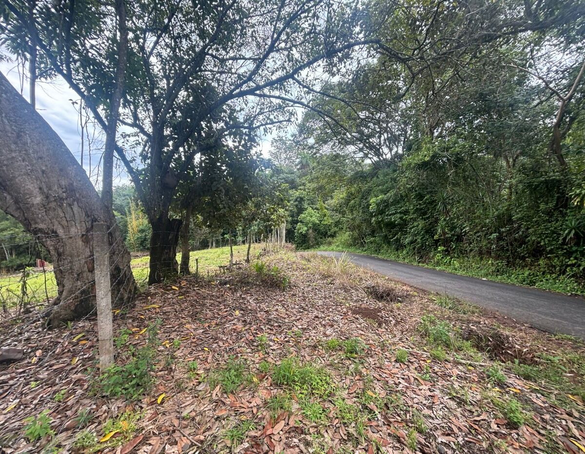 Building Lots for sale in Atenas Costa Rica