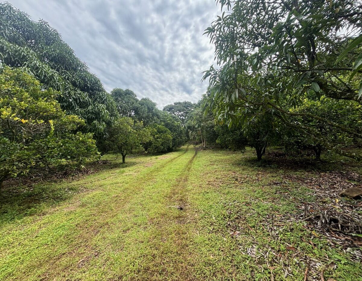 Building Lots for sale in Atenas Costa Rica