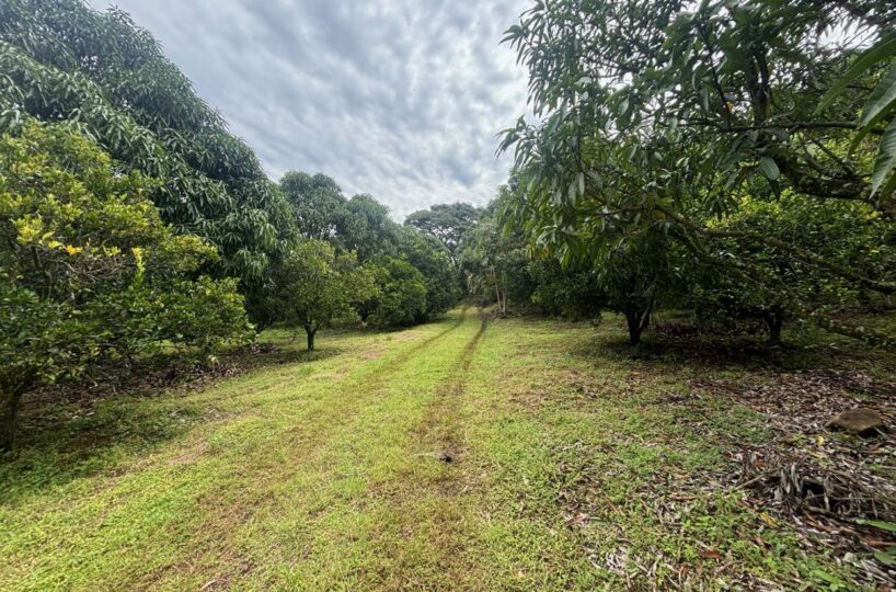 Building Lots for sale in Atenas Costa Rica