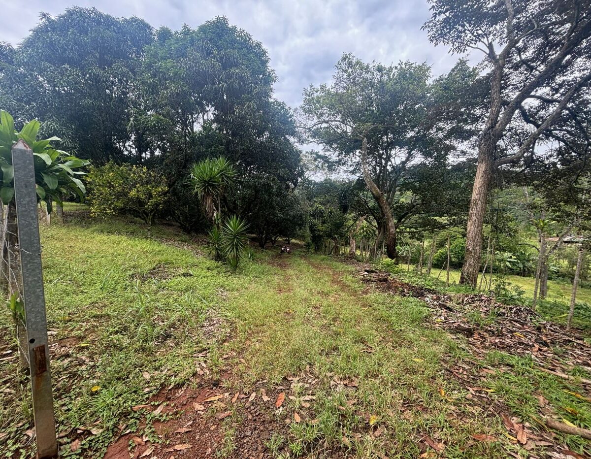 Building Lots for sale in Atenas Costa Rica