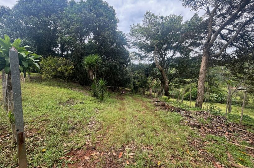 Building Lots for sale in Atenas Costa Rica
