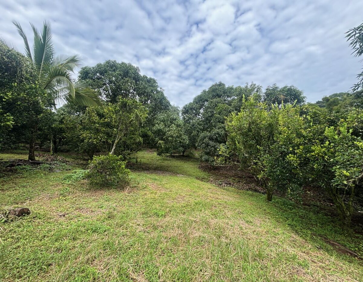 Building Lots for sale in Atenas Costa Rica