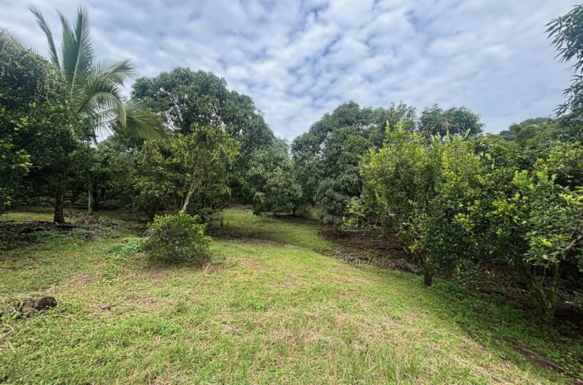 Building Lots for sale in Atenas Costa Rica