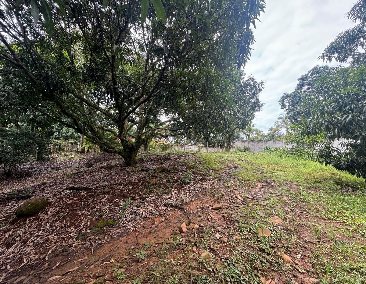 Building Lots for sale in Atenas Costa Rica