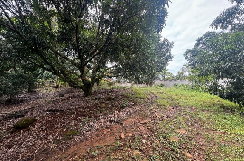 Building Lots for sale in Atenas Costa Rica
