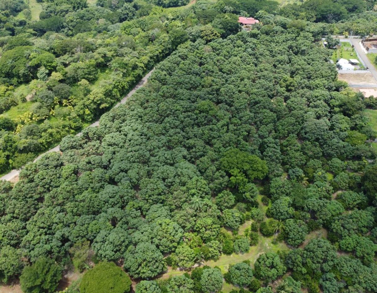 Building Lots for sale in Atenas Costa Rica