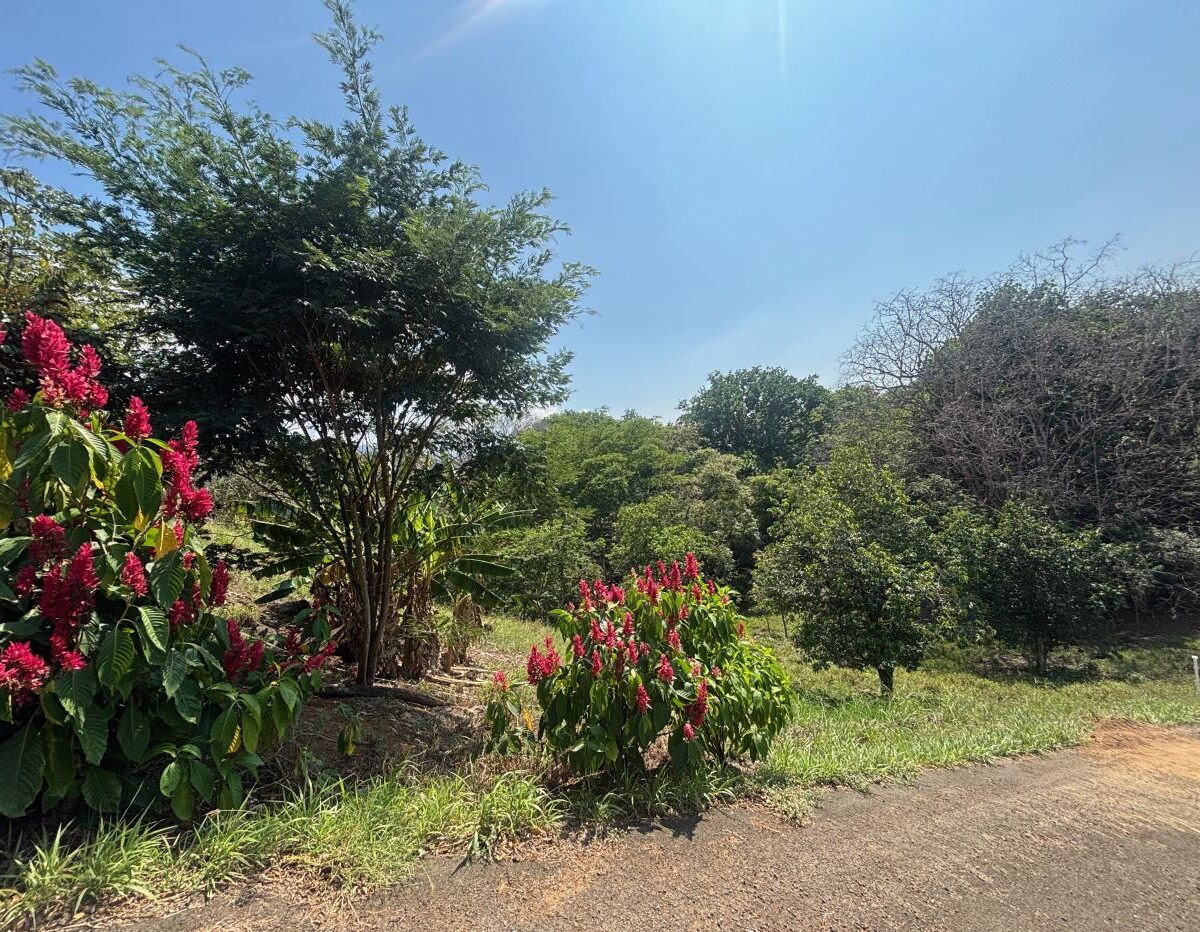 Homes for sale in Atenas Costa Rica