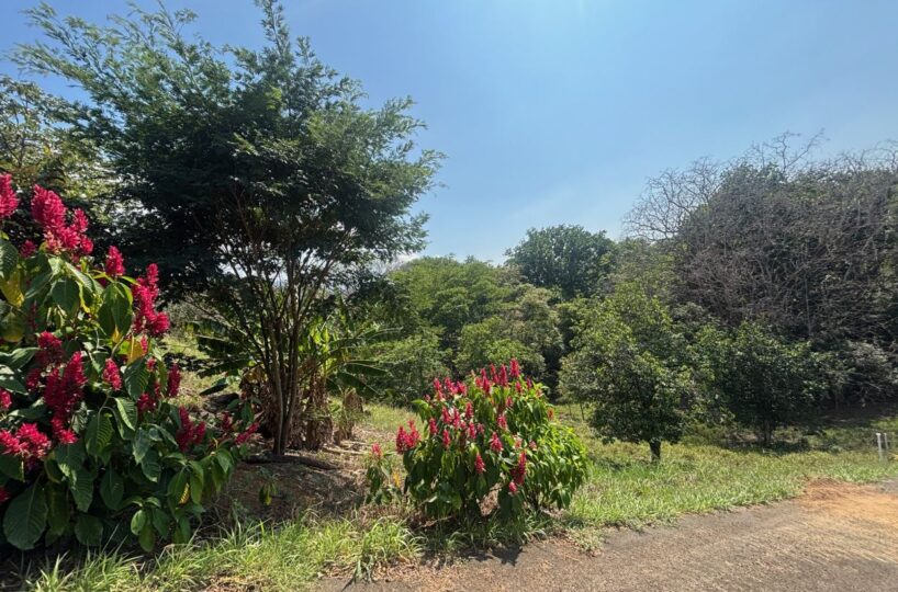 Homes for sale in Atenas Costa Rica