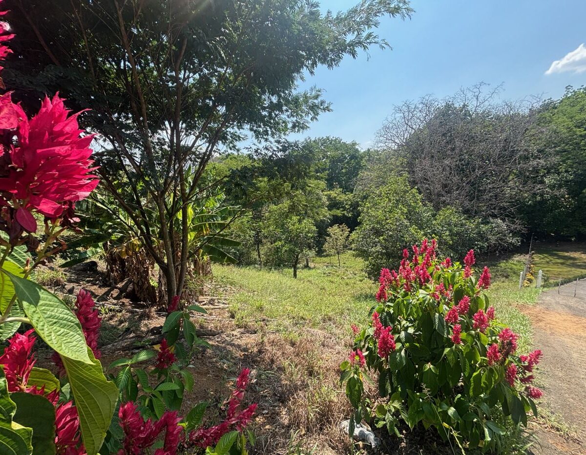 Homes for sale in Atenas Costa Rica
