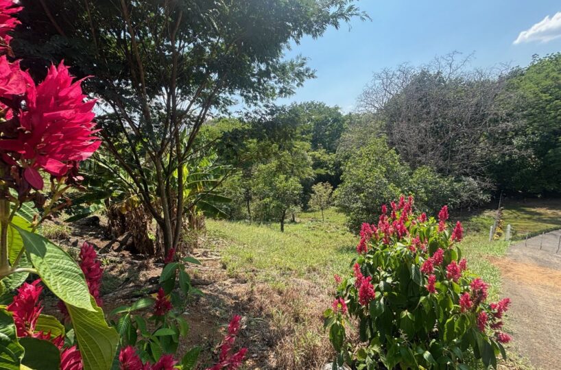 Homes for sale in Atenas Costa Rica