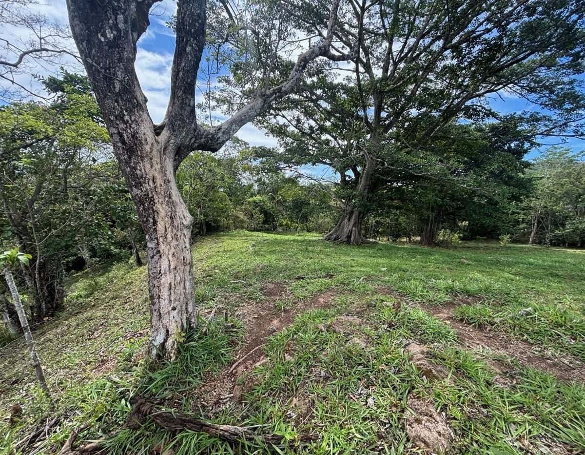 Building Lots for sale in Atenas Costa Rica