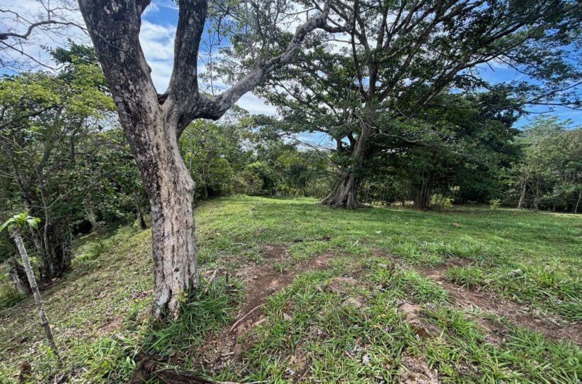 Building Lots for sale in Atenas Costa Rica