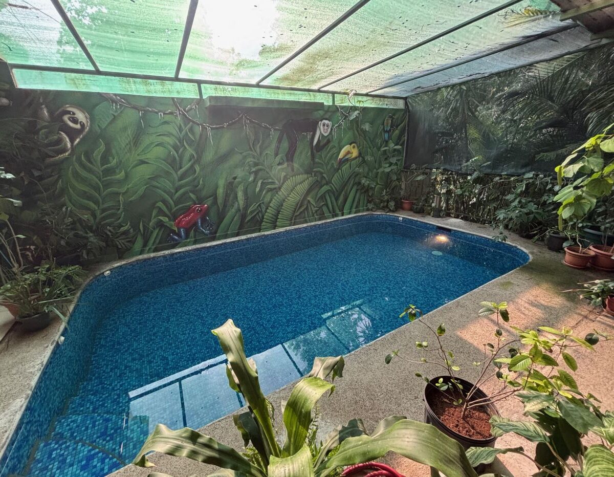 Homes for sale in Atenas Costa Rica