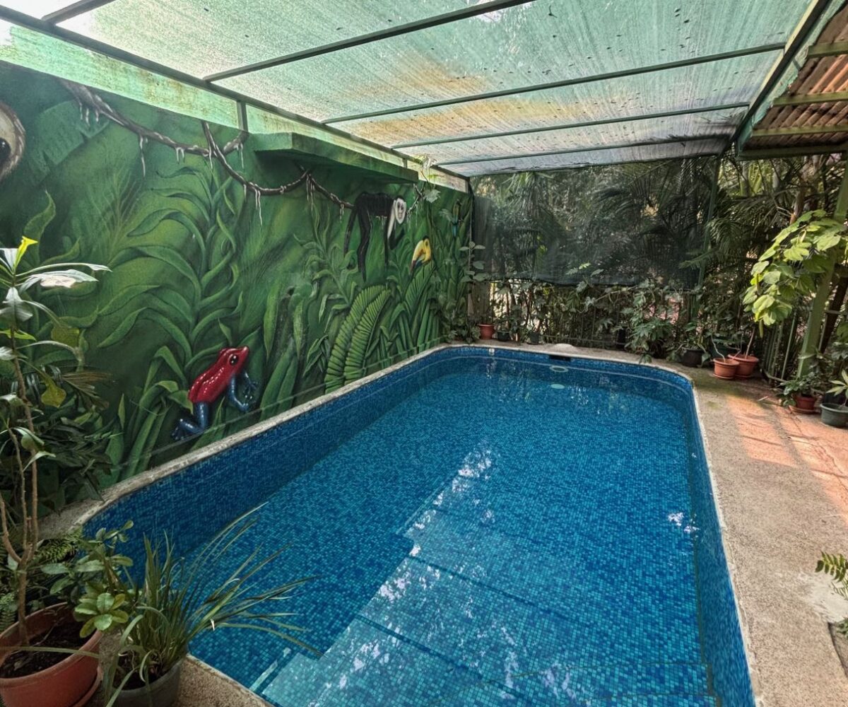 Homes for sale in Atenas Costa Rica