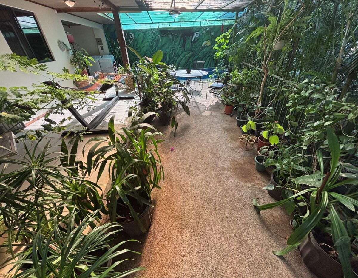 Homes for sale in Atenas Costa Rica