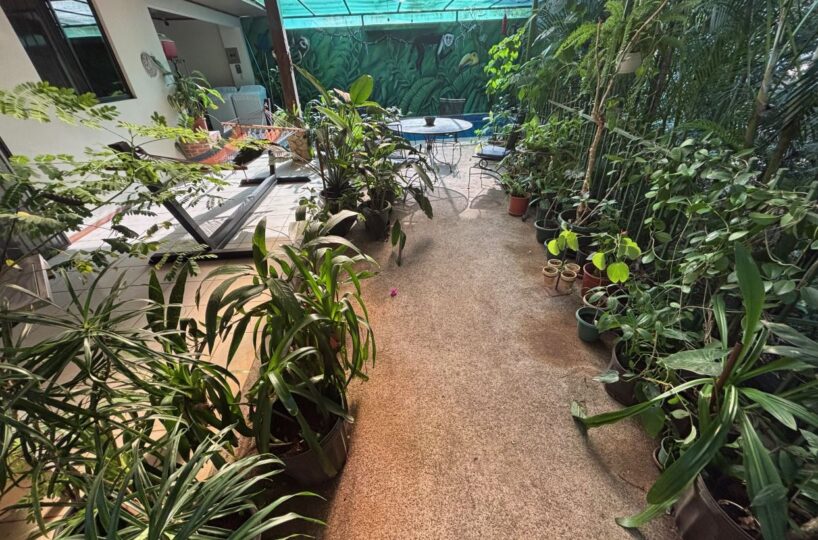 Homes for sale in Atenas Costa Rica