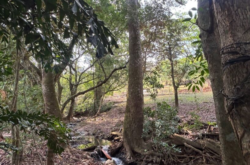 Homes for sale in Atenas Costa Rica