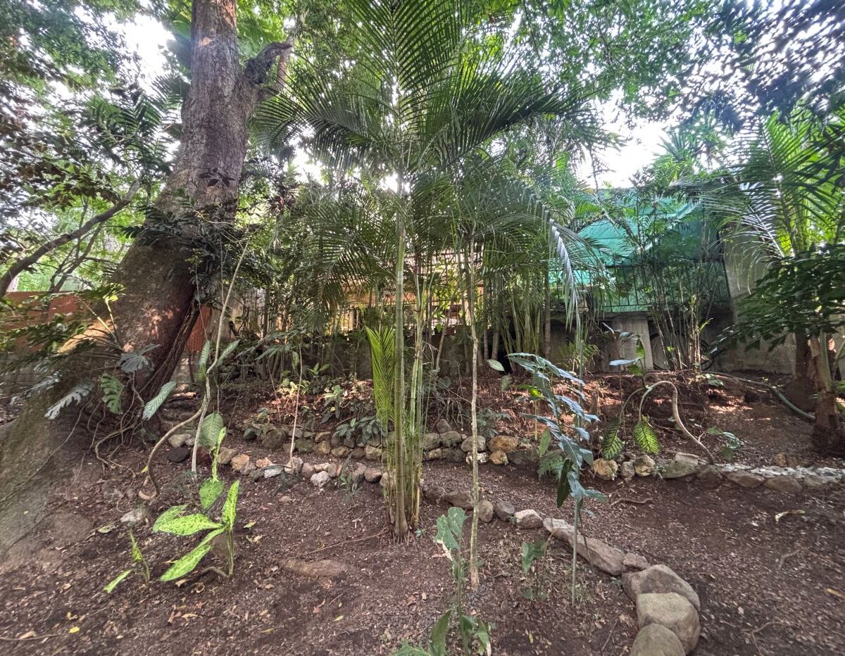 Homes for sale in Atenas Costa Rica