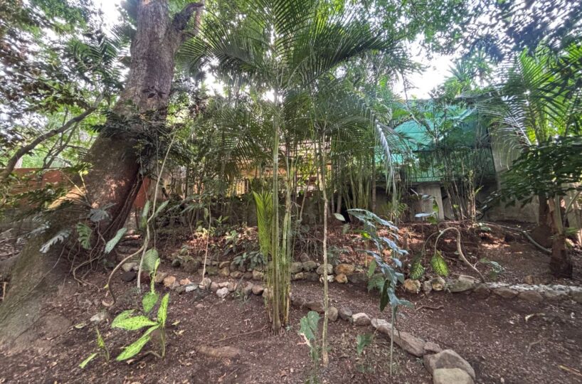 Homes for sale in Atenas Costa Rica