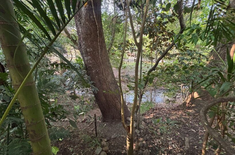 Homes for sale in Atenas Costa Rica