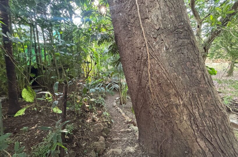 Homes for sale in Atenas Costa Rica