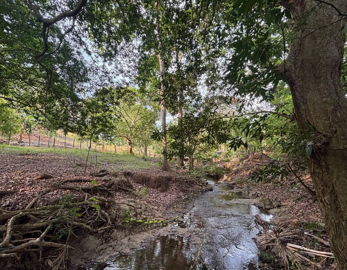 Homes for sale in Atenas Costa Rica