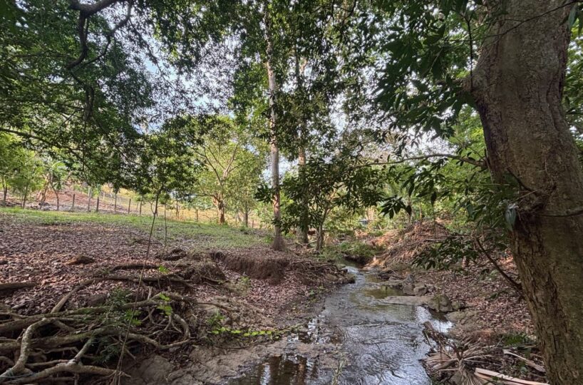 Homes for sale in Atenas Costa Rica