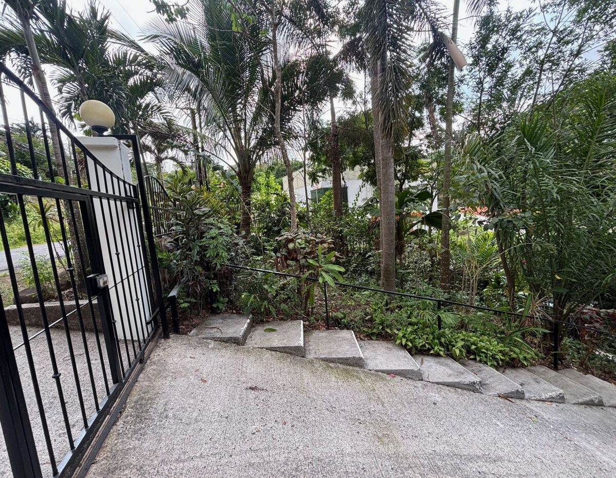 Homes for sale in Atenas Costa Rica