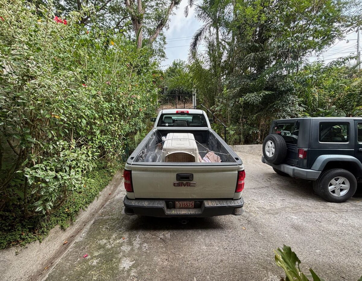 Homes for sale in Atenas Costa Rica