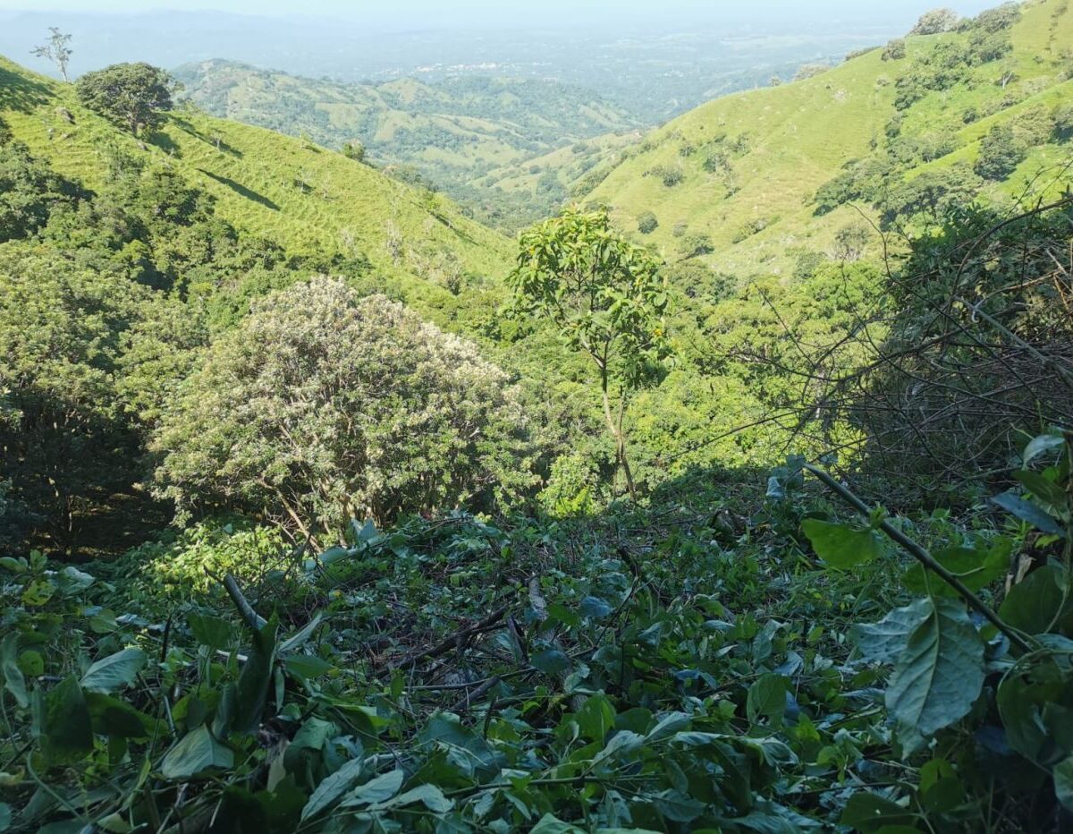 Building Lots for sale in Atenas Costa Rica