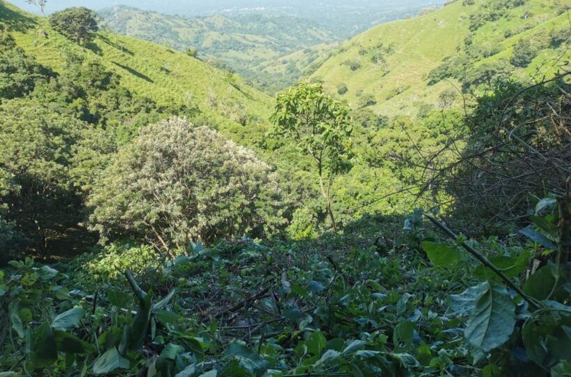 Building Lots for sale in Atenas Costa Rica