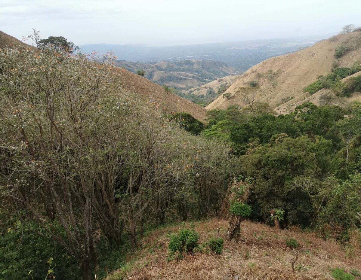 Building Lots for sale in Atenas Costa Rica