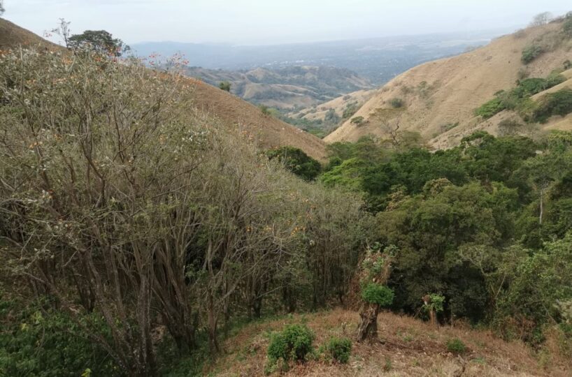 Building Lots for sale in Atenas Costa Rica