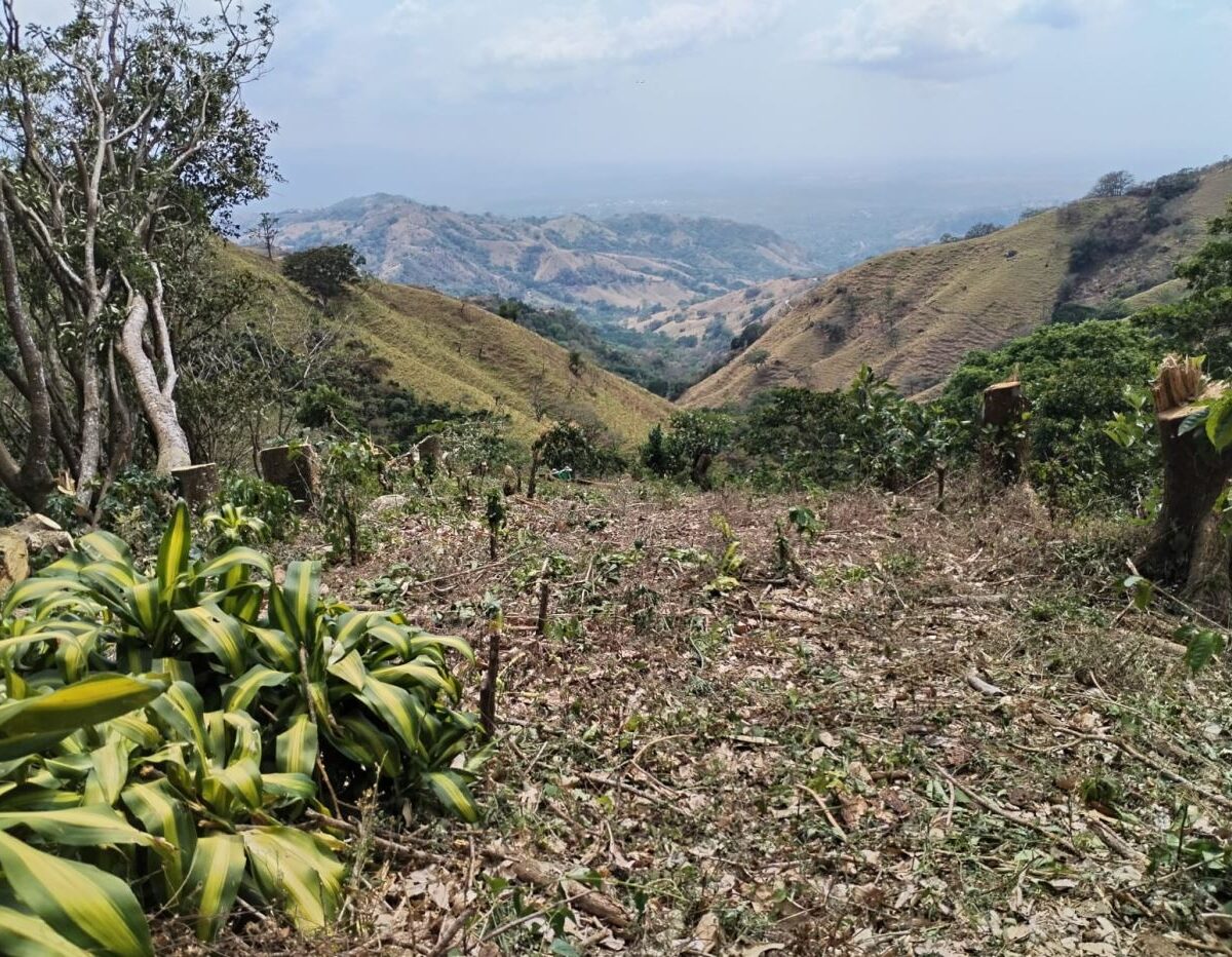 Building Lots for sale in Atenas Costa Rica