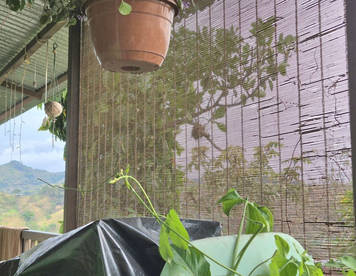 Homes for sale in Atenas Costa Rica