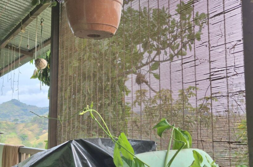 Homes for sale in Atenas Costa Rica